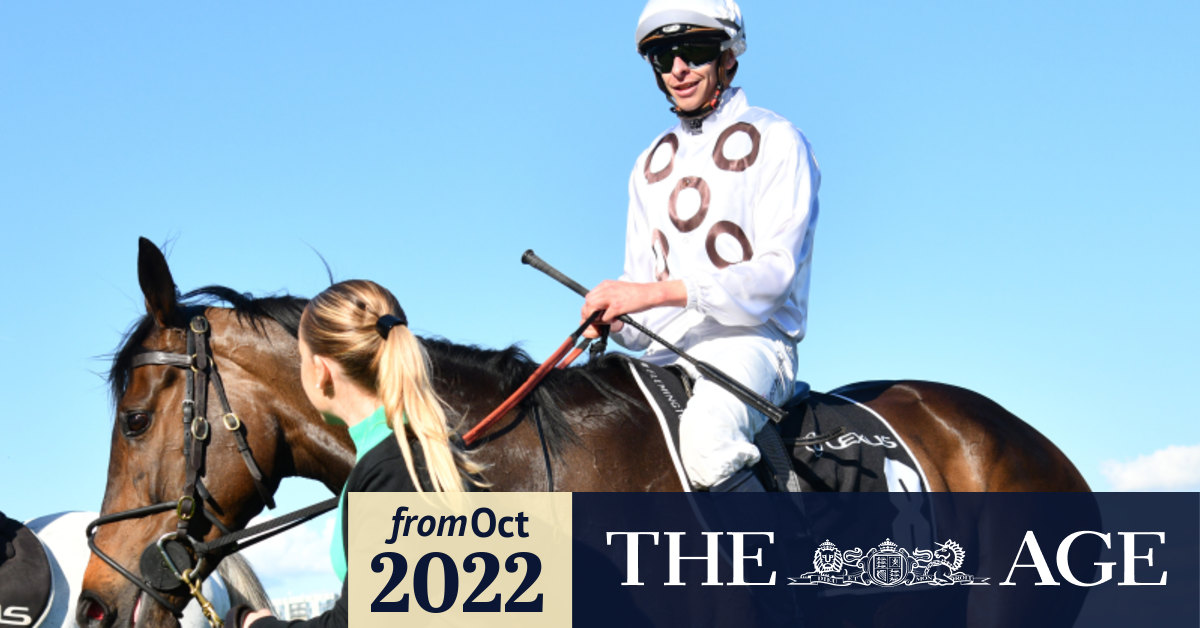 Melbourne Cup 2022 Lunar Flare scratched from race, field reduced to 22